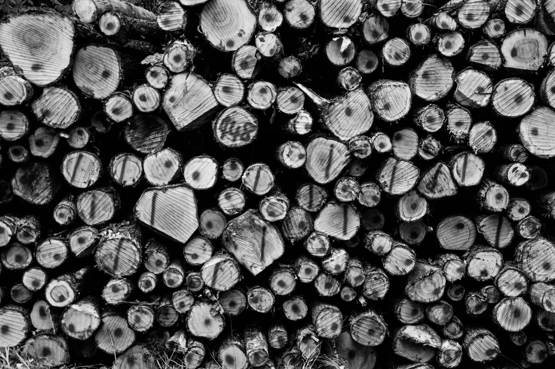 Wood for paper